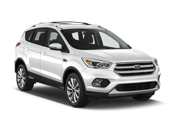 Ford Kuga Цвет: Frozen White